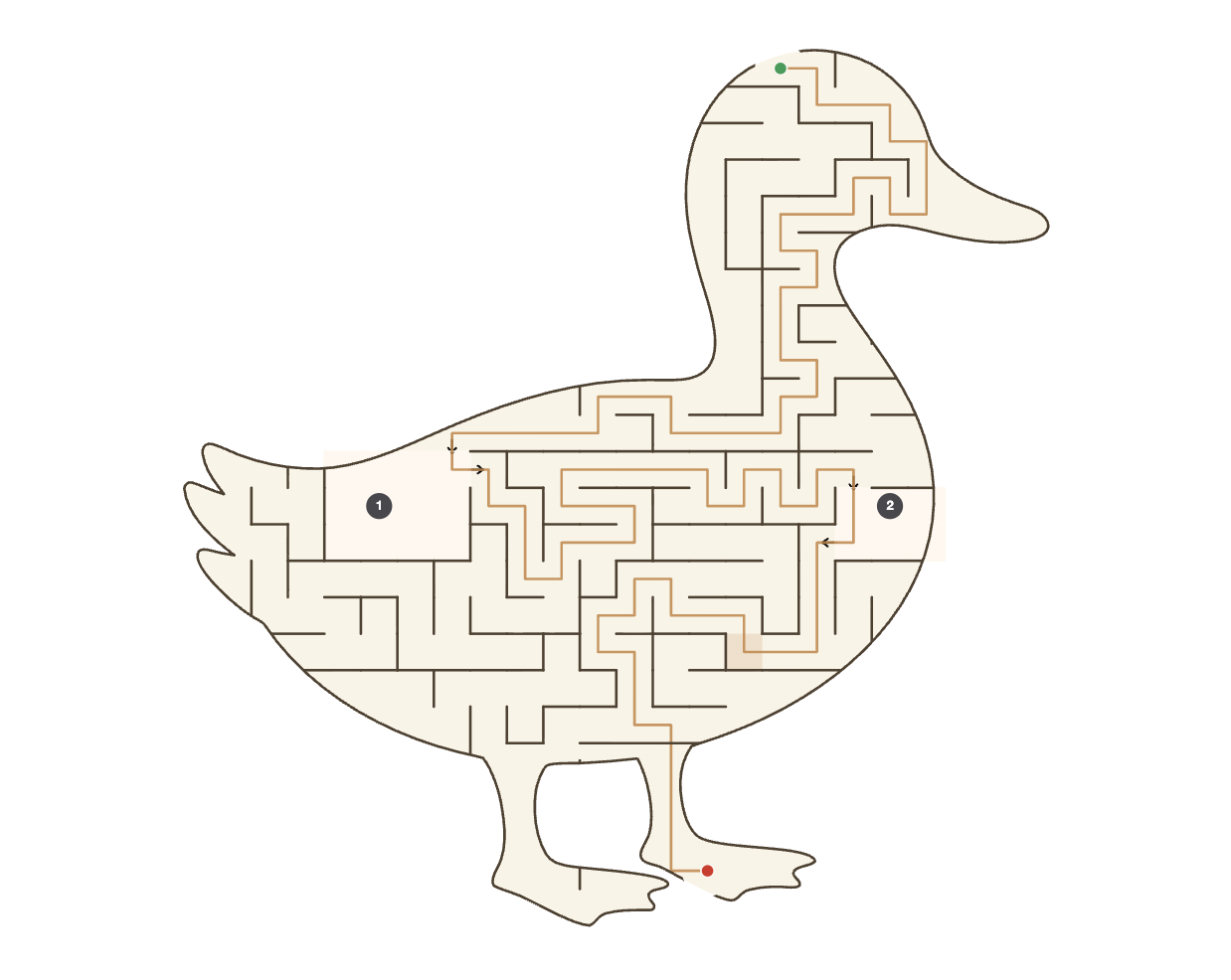 A solved maze in the shape of a duck